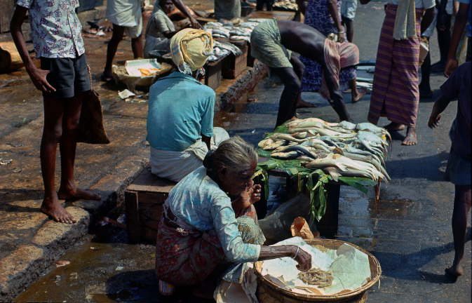 Colombo, 1969, Sri Lanka